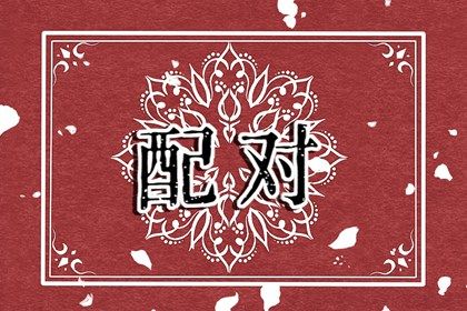 感情分数代表什么
